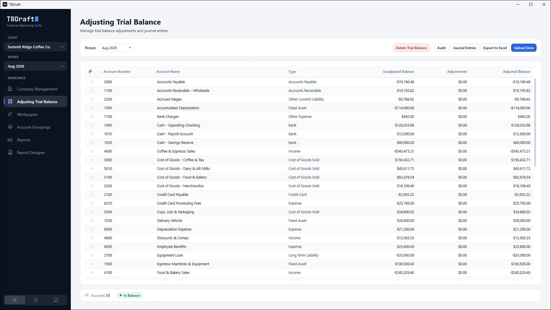 Professional Trial Balance Management screenshot